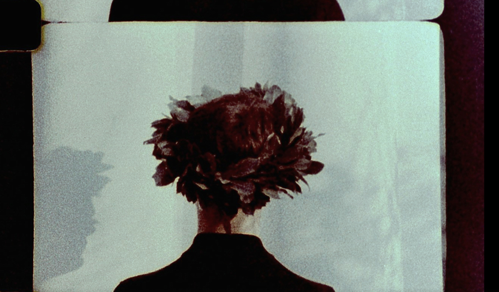 I EVEN LOST MY SHADOW